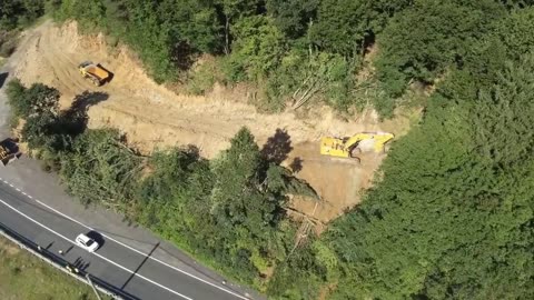 Workers in Romania have closed a whole highway for just 2 trucks to cut trees
