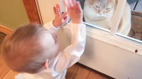 Kids fun with cats
