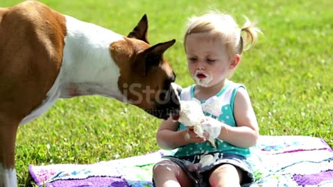 A Dog, How to disturb a small Girl when She is eating.