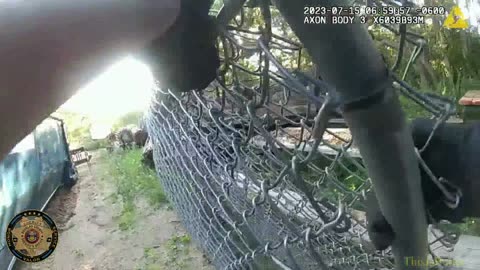Body camera video shows rescue of little bear cub from big trash bin