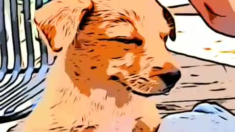 My Cute Dog Animation#shorts #puppy #animation #cartoon