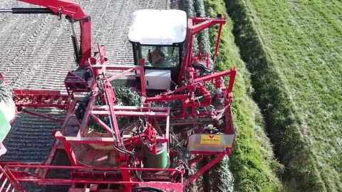 Leek, Okra, Green Plum Harvesting Machine - World Modern Agriculture Technology - Harvest vegetables