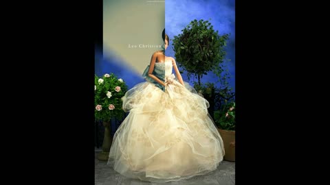 Barbie wedding dress