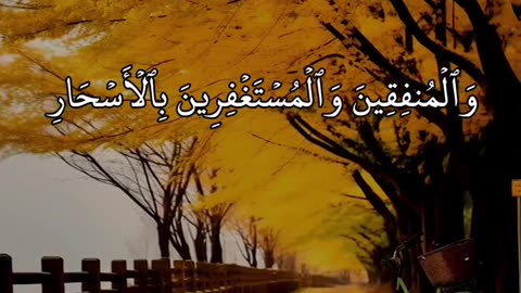 Al-quranilkareem #maher 5. 7 دقائق يومياً تغير حياتك: أسرار الخشوع في الصلاة ( #خشوع_القرآن )