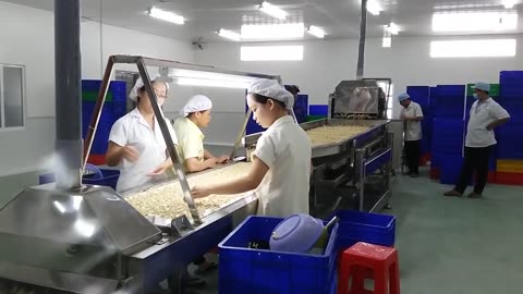 Cashew Packaging Machine in a Cashew Export Factory in Vietnam