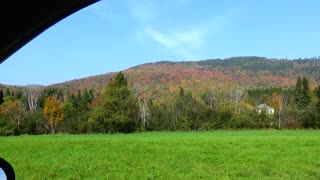 Fall Foliage