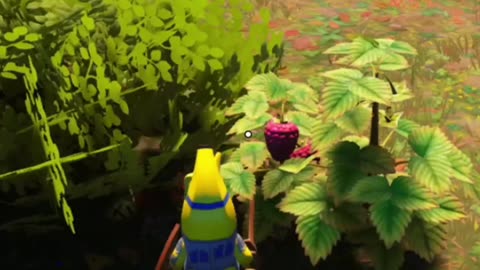 Raspberries are MMM, so Good!!! Lego Fortnite