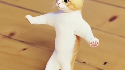 cat funny dance