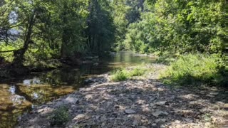 Kentucky land for sale