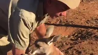The Real Kangaroo Jack