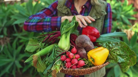 Person Holding Basket Full of Vegetables