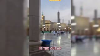 WARNING_ Mind-Boggling Locusts Invasion in Mecca - You Won't Believe This Shocking Video