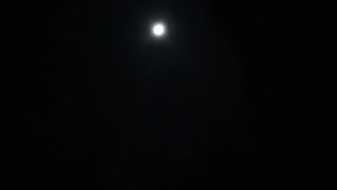 The light of the moon of the night