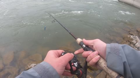 Jerk Bait Fishing Raging Water Below Dam