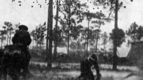 Trained Cavalry Horses (1898 Original Black & White Film)