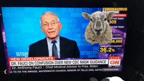 Doctor fauci says no more masks needed