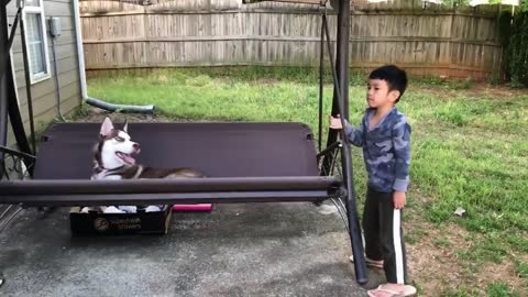 baby and dog loves swing