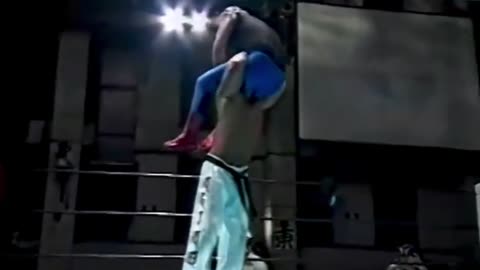 Jinsei Shinzaki x Gran Naniwa. Virtual Pro Wrestling IRL. (1996)