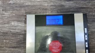 Weigh-In May 30, 2024