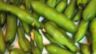 Growing beans at home