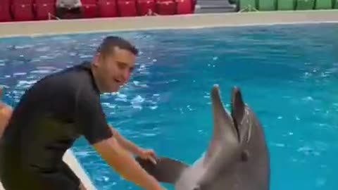Dolphin kissing and Dancing funny #short