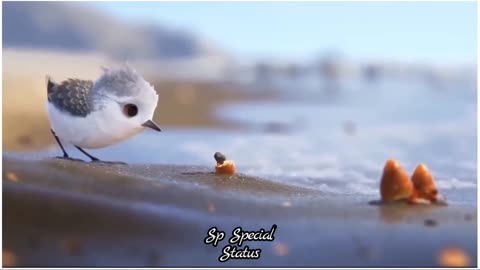 Mother bird love💕 with new baby bird 😍😘 ||Natural beauty