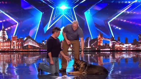 Police dog Finn moves the judges