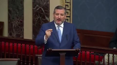 Sen. Ted Cruz calls out hypocrite Democrats on Biden's border crisis!
