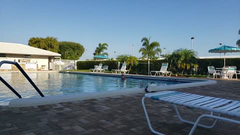 The biggest swimming pool in Florida? 😆😅🤣😂 Probably not!