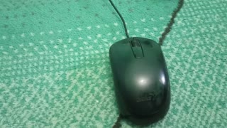 Mouse Cable