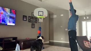 Dog Bounces Basketball Into Hoop Off Its Nose