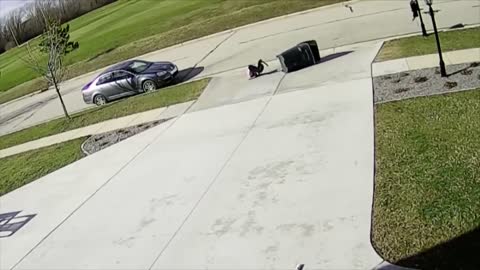 Garbage Can Takes Out Kid