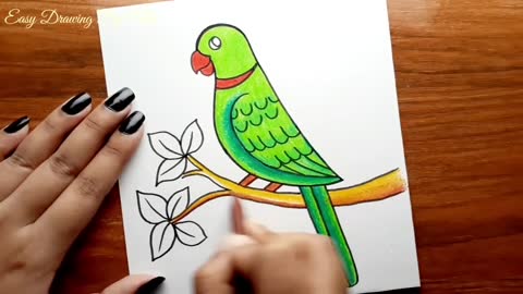 Parrot Drawing -- How to Draw Parrot Step by Step for Beginners -- Bird Drawing Colour