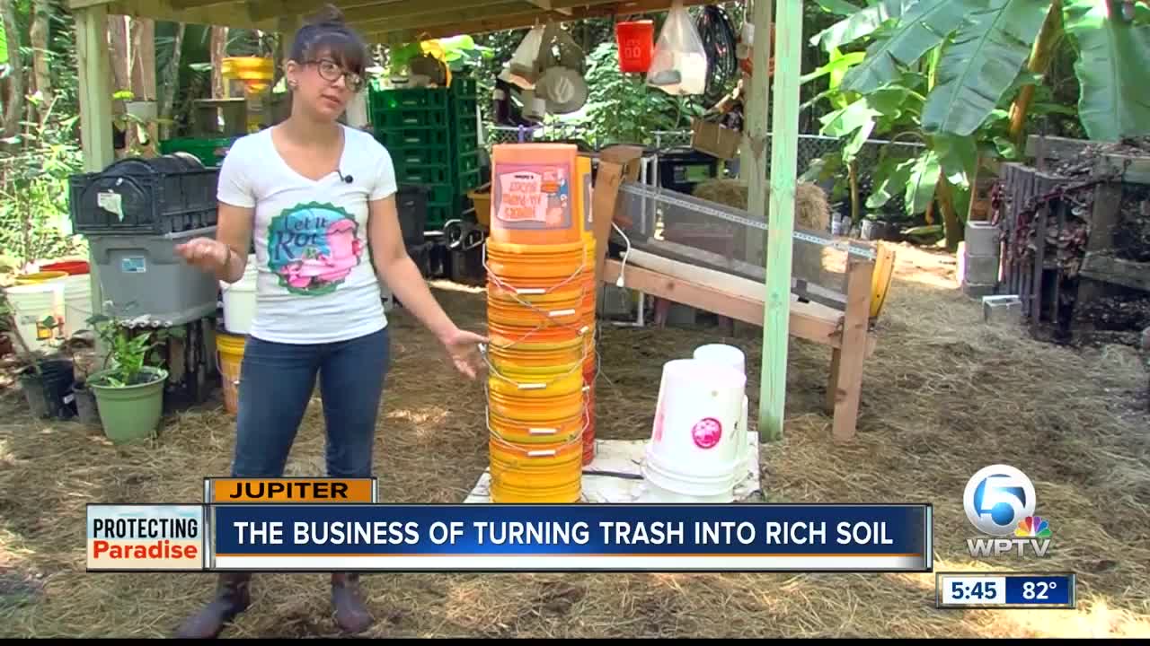 Woman dubbed "Worm Queen" offers sustainable option for food, plant-based waste