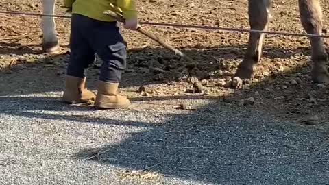 Baby loving Donkey