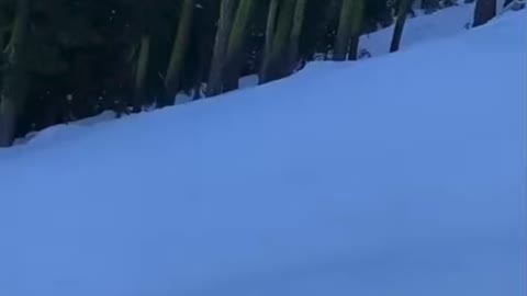 People skiing and funny noises