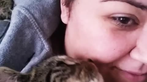 Cat kisses