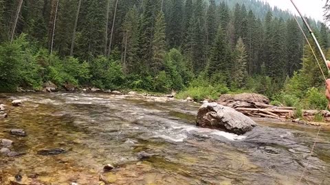 Beautiful mountain stream , all to yourself and that scenery . The fish was the icing on the cake