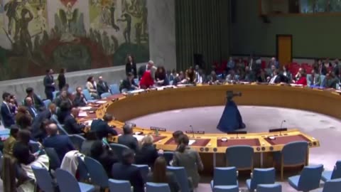 Shocking News! US blocks UN Security Council Demand for Humanitarian Ceasefire in Gaza