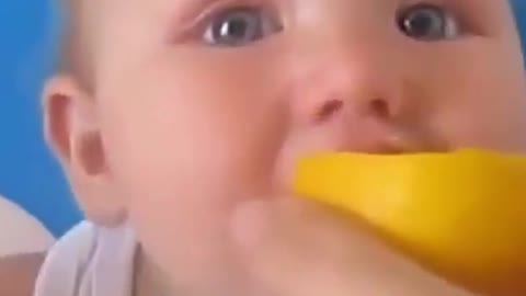 Cute and Funny Kids try Lemon