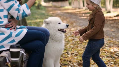 Happy family sitting with white samoyed dog in the park. Little girl playing with dog