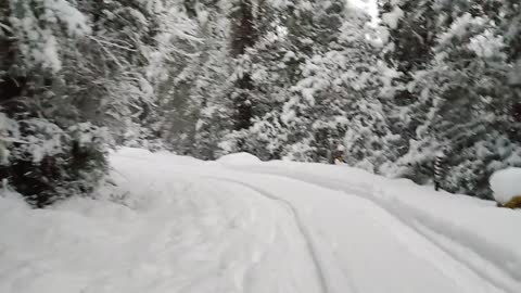 manali nainital snowfall