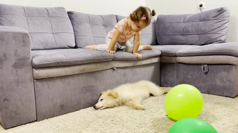 Cute_Baby_and_Dog_Playing_Together_with_Balloons
