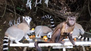 Eating with the homies