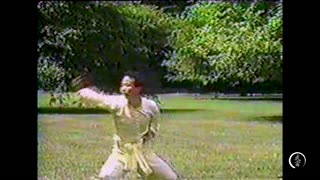 Northern Shaolin #9 - LianHuanQuan