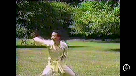 Northern Shaolin #9 - LianHuanQuan