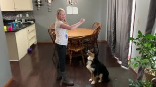 Lucy the Dog simple tricks