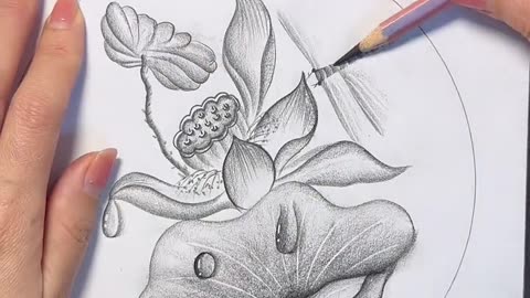 Amazing drawing|pencil art|art talent|creative drawing