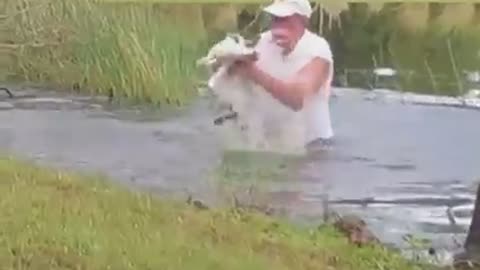 Uncle saved the dog from the crocodile's mouth.