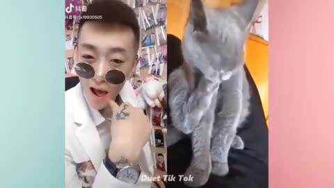 Funny Duet Tik Tok Compilation